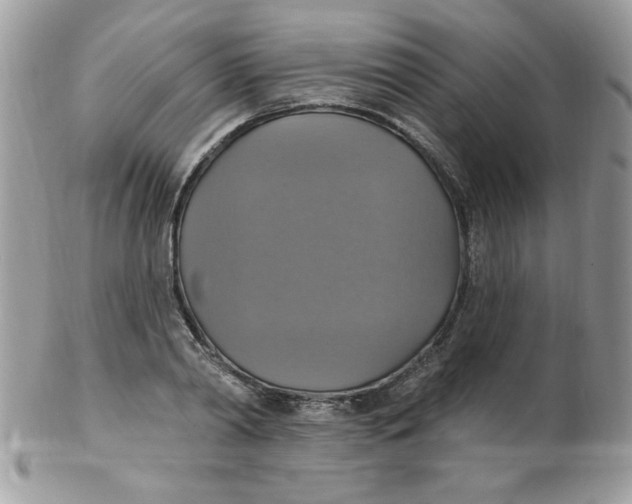 X0000102410790200808221910