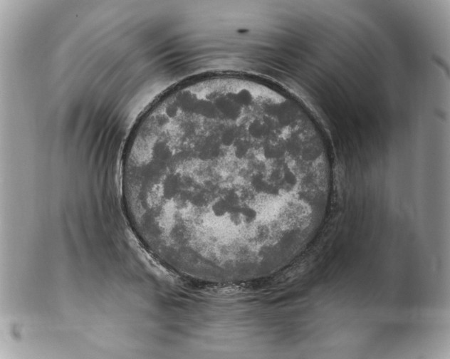 X0000102410791200808221910