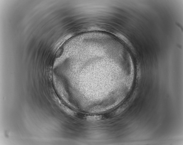 X0000102410793200808221910