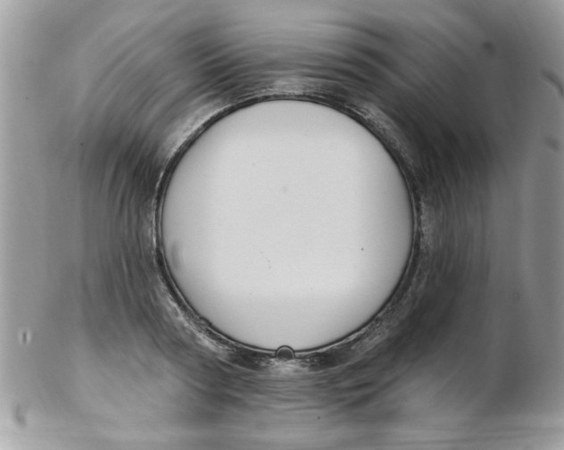 X0000102410794200808221910