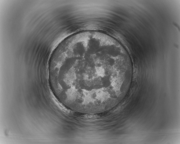 X0000102410795200808221910