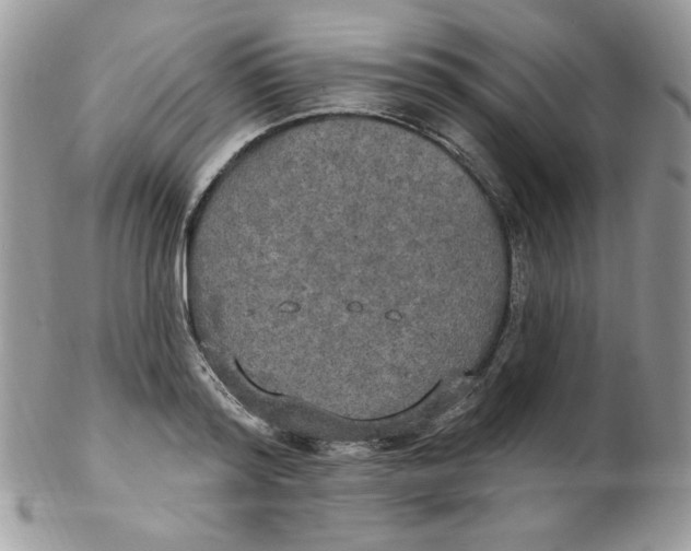 X0000102410796200808221910