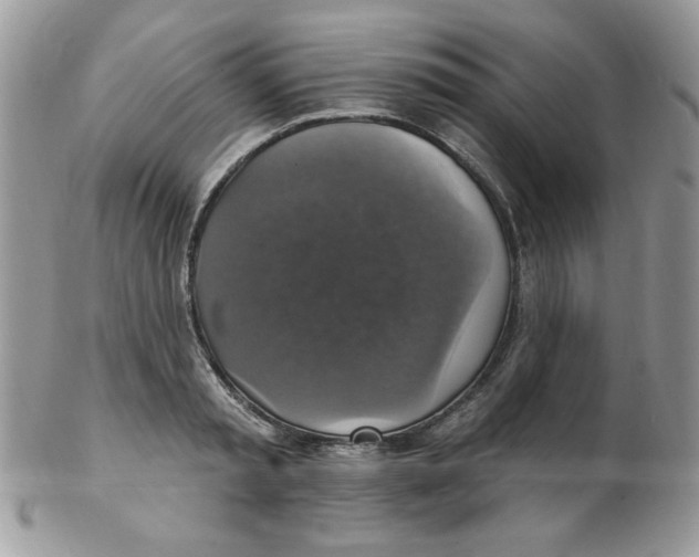 X0000102410797200808221910