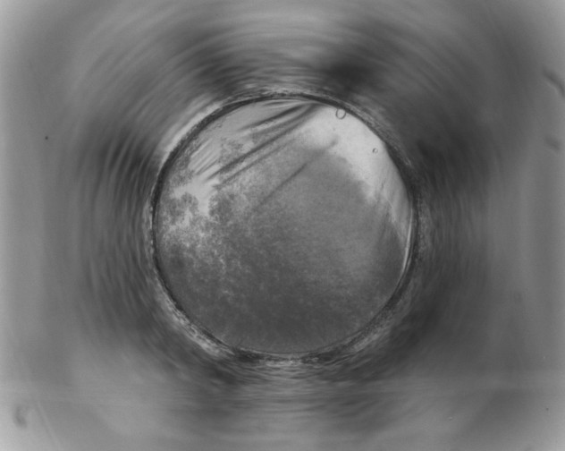 X0000102410798200808221910