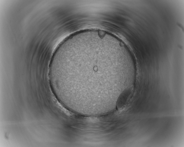 X0000102410799200808221910