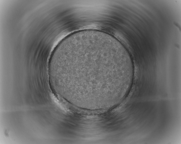 X0000102410800200808221910