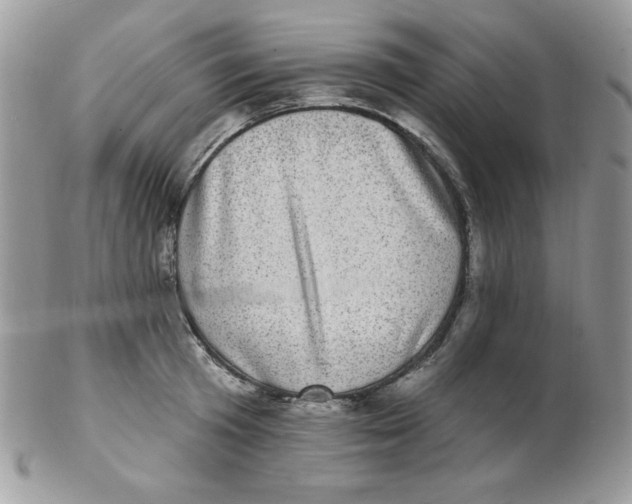 X0000102410801200808221910