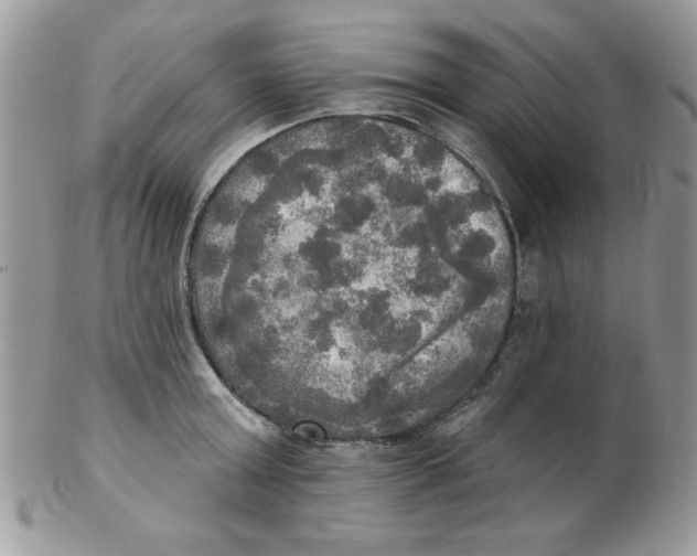 X0000102410803200808221910