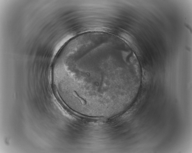 X0000102410804200808221910