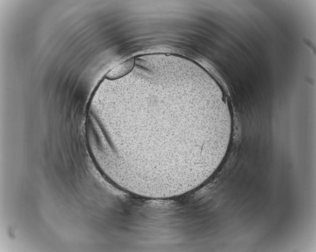 X0000102410805200808221910