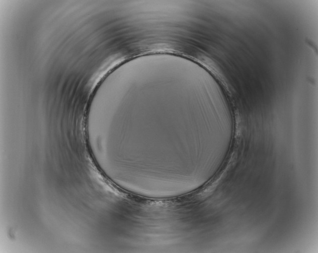 X0000102410806200808221910