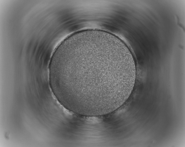 X0000102410807200808221910