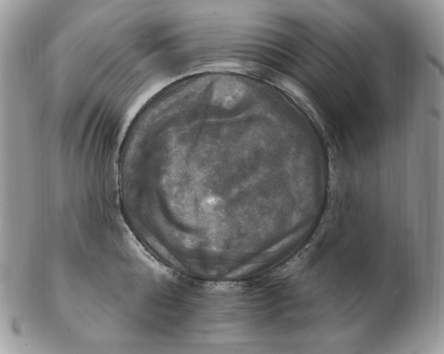 X0000102410808200808221910