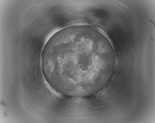 X0000102410811200808221910