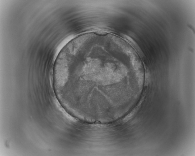 X0000102410812200808221910