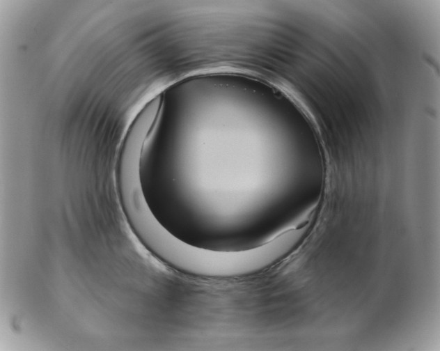 X0000102410813200808221910