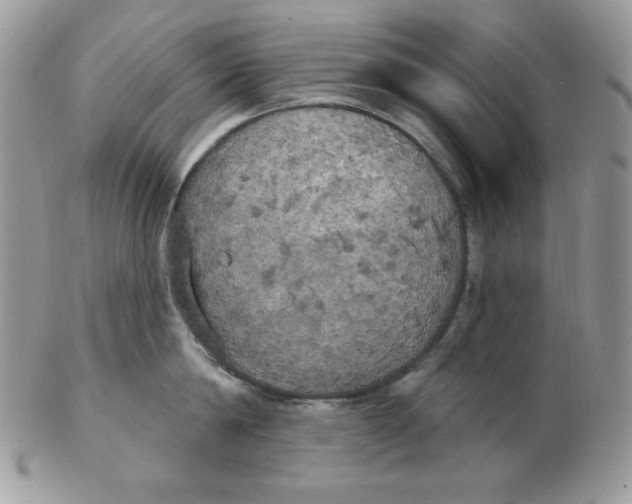 X0000102410814200808221910