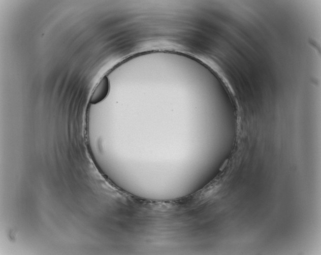 X0000102410815200808221910