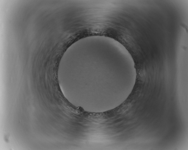 X0000102410817200808221909