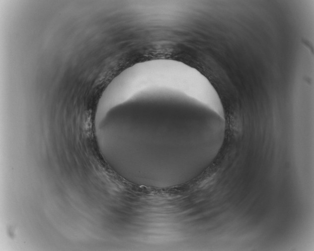 X0000102410818200808221909