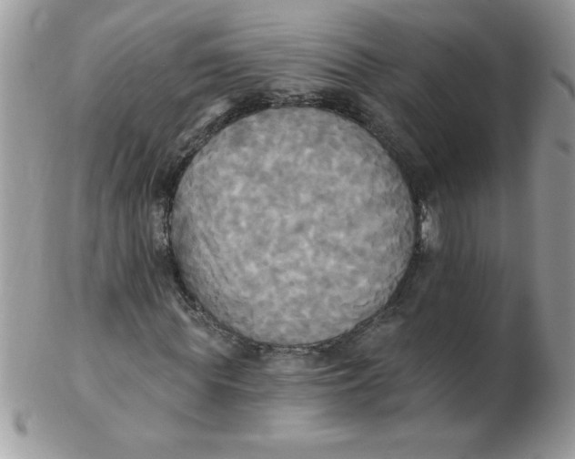 X0000102410819200808221909