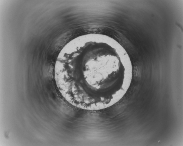 X0000102410820200808221909