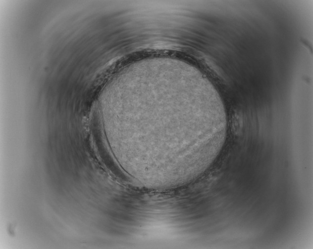 X0000102410821200808221909