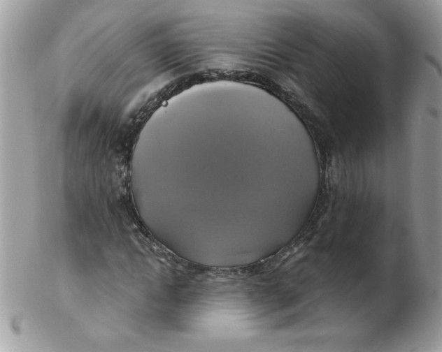 X0000102410822200808221909