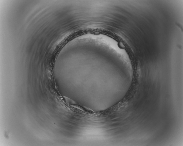 X0000102410823200808221909