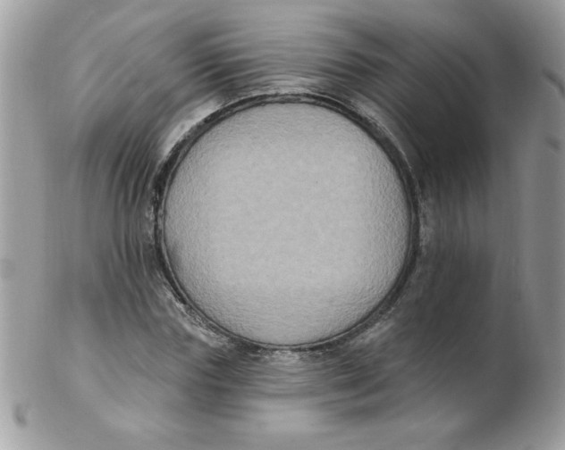 X0000102410827200808221909