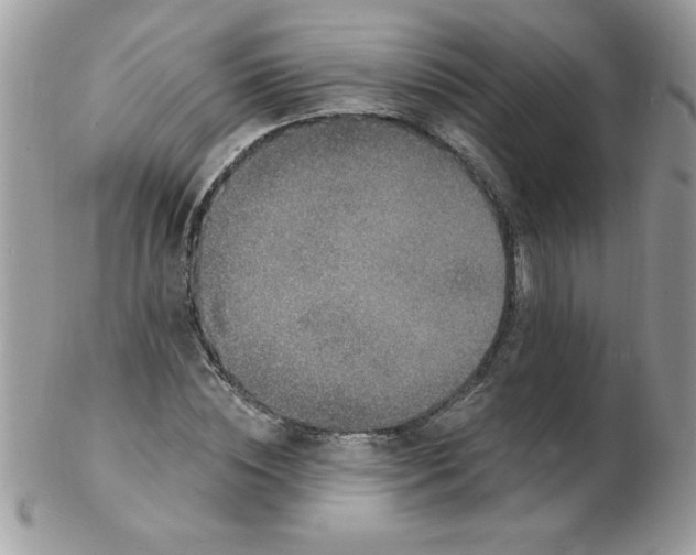 X0000102410828200808221909