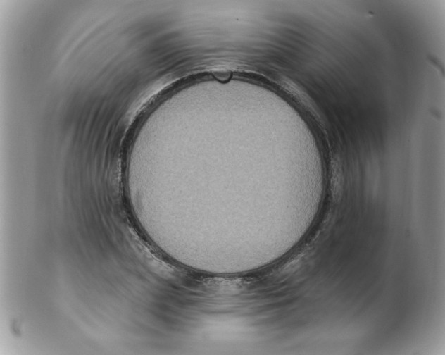 X0000102410831200808221909