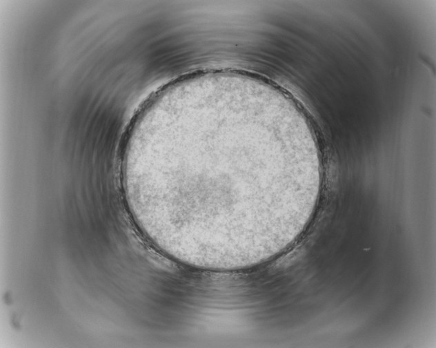 X0000102410832200808221909