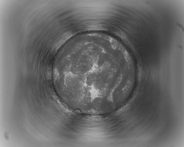 X0000102410833200808221909