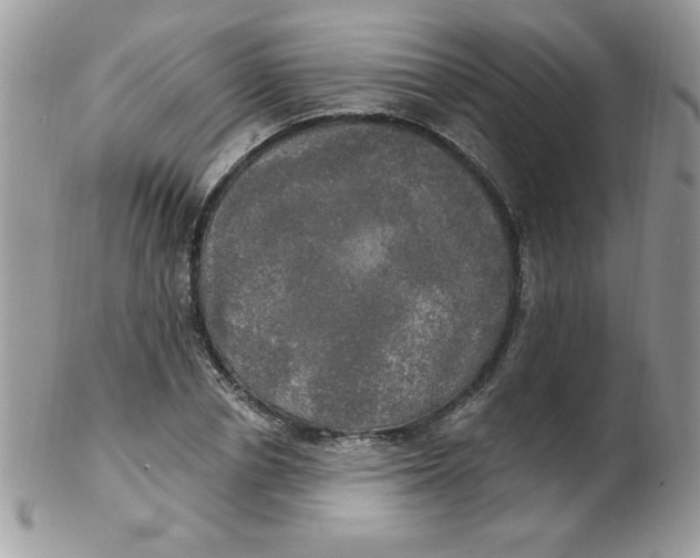 X0000102410834200808221909