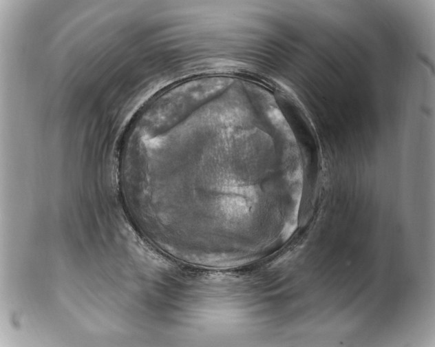 X0000102410835200808221909