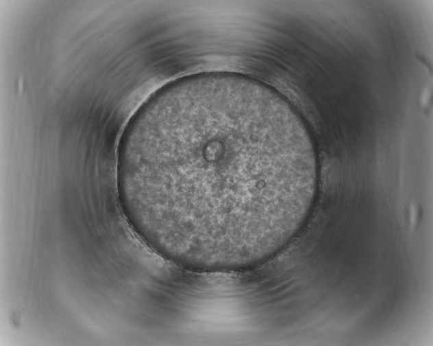 X0000102410836200808221909