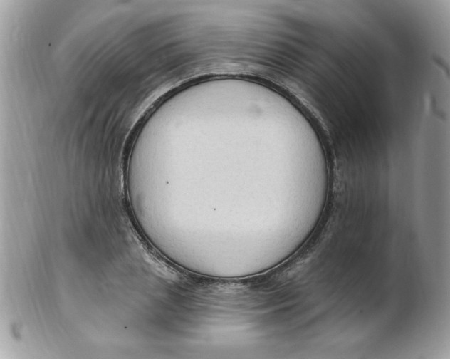 X0000102410837200808221909