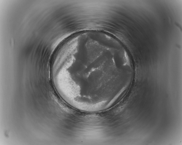 X0000102410838200808221909