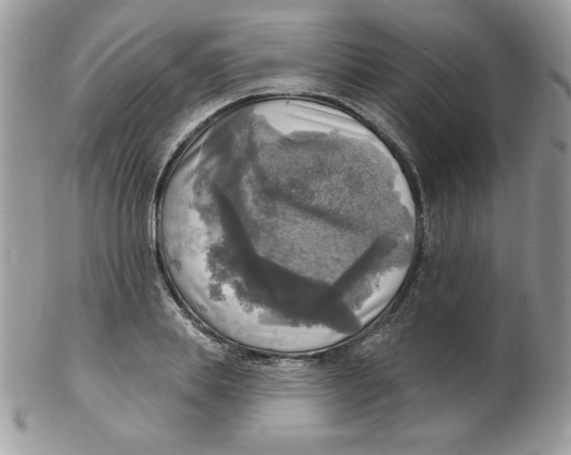 X0000102410839200808221909