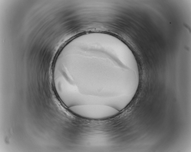 X0000102410840200808221910