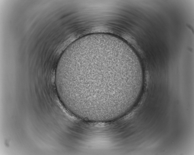 X0000102410841200808221910