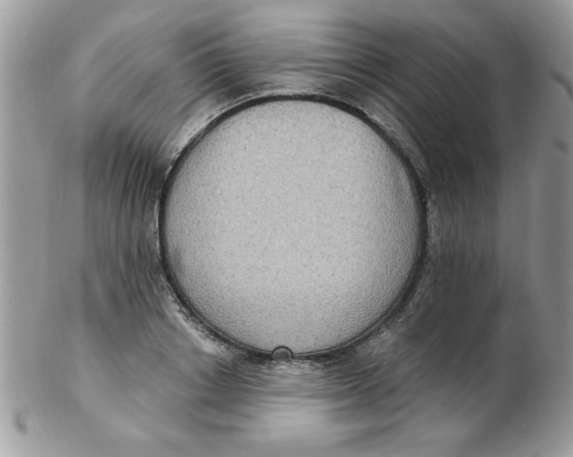 X0000102410842200808221910