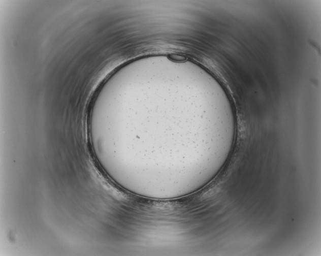 X0000102410843200808221910