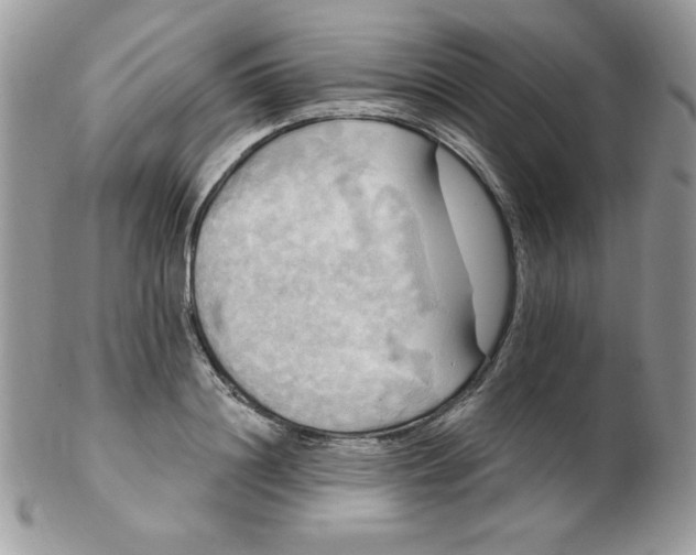 X0000102410844200808221910