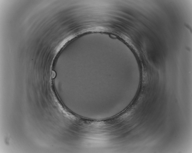 X0000102410845200808221910