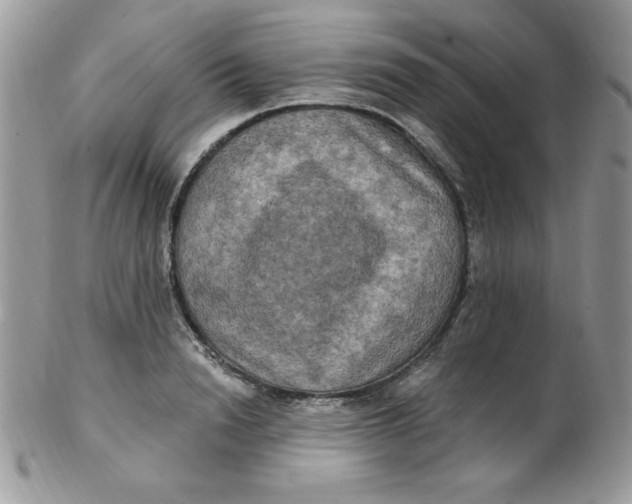 X0000102410846200808221910