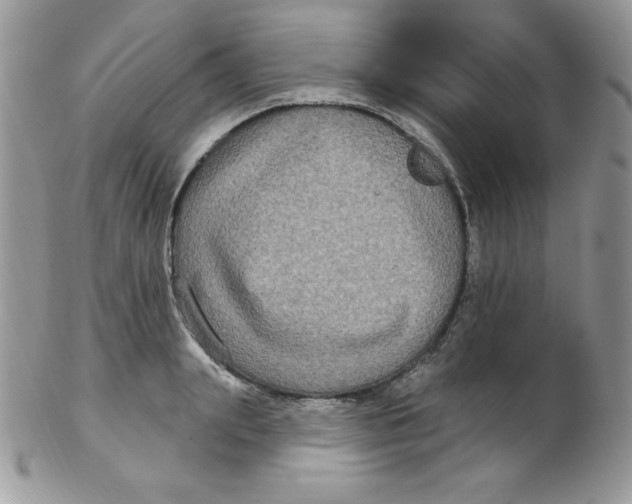 X0000102410847200808221910