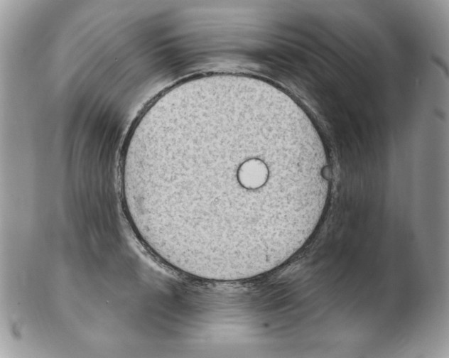 X0000102410848200808221910