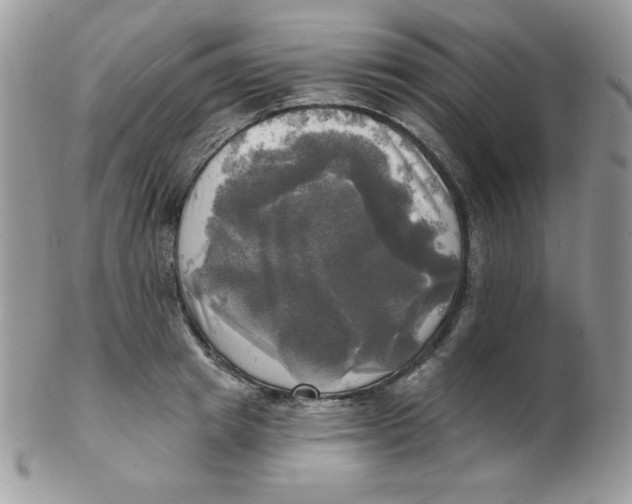 X0000102410849200808221910